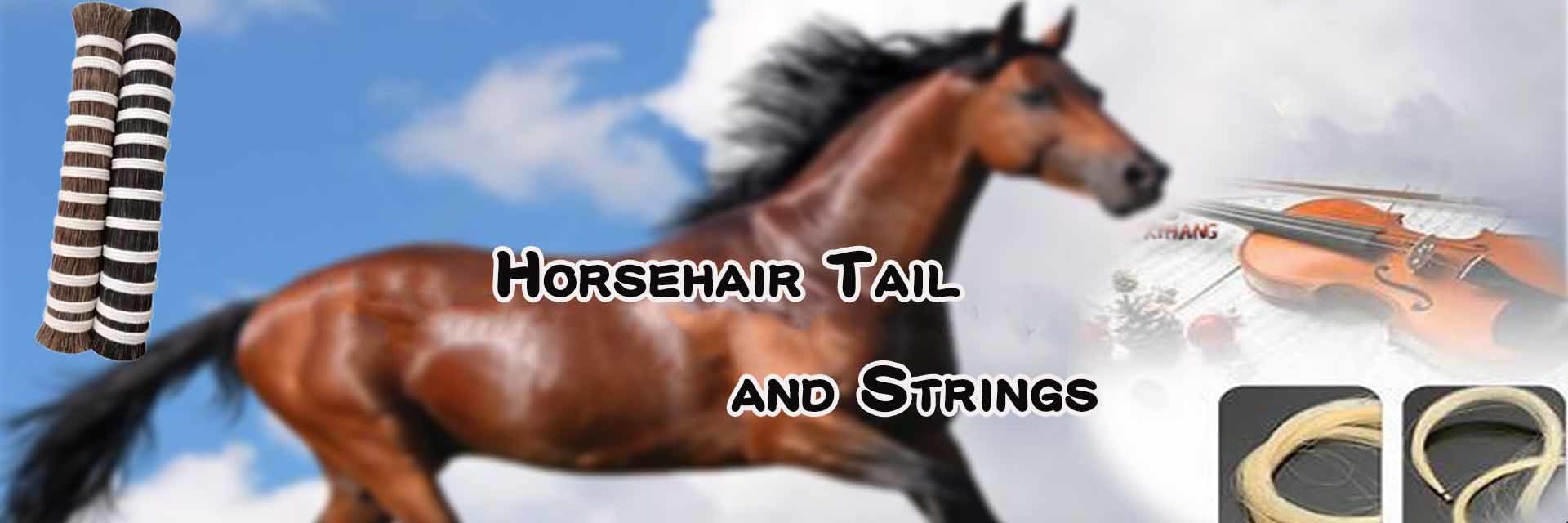 qualità Estensioni di criniera di cavallo fabbrica